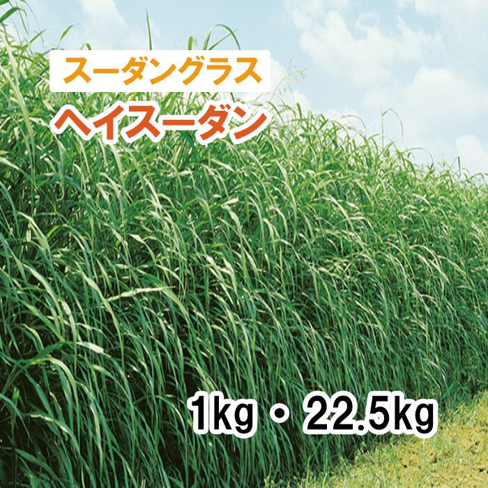 【 干し草用 スーダン共和国水呑み 】 ヘイスーダン （極早生） 1kg 22.5kg 馬糧 放牧 作りだす用 緑化 緑肥 内果皮 雪印種苗