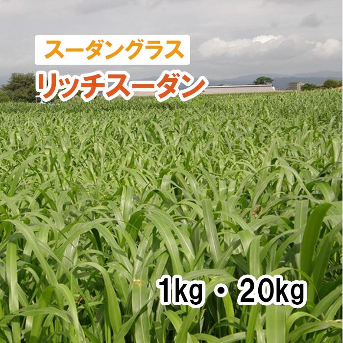【 飼料用 スーダングラス 】 リッチスーダン / スプリント (早生) 1kg 20kg 牧草 放牧 栽培用 緑化 緑肥 種子 雪印種苗|肥料と農薬専門店 ベジライス