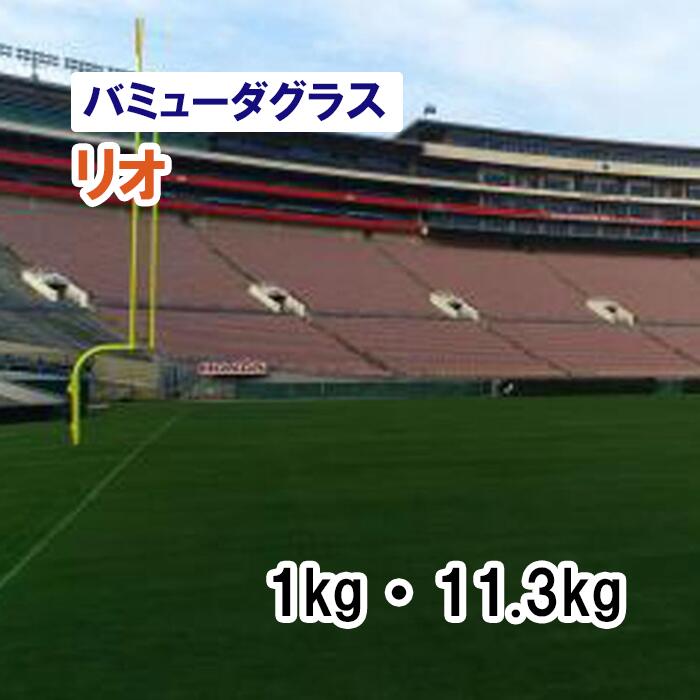 ※厚地の外套内果皮※【 緑肥用 バミューダ水のみ 】 リオ 1kg 11.3kg 草藁 放牧 採草 作りだす用 干し草用 ゴルフ場 引きくらべる場 緑化 内果皮 タキイ種苗