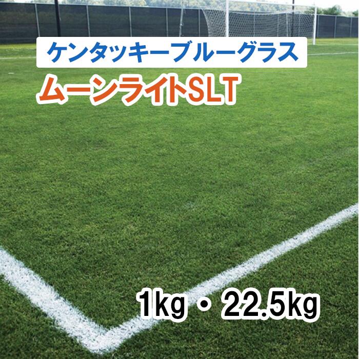 【 緑肥用 ブルーグラスの州ブルーグラス 】 月灯かりSLT 1kg 22.5kg 馬糧 放牧 採草 作りだす用 干し草用 ゴルフ場 引きくらべる場 緑化 内果皮 タキイ種苗