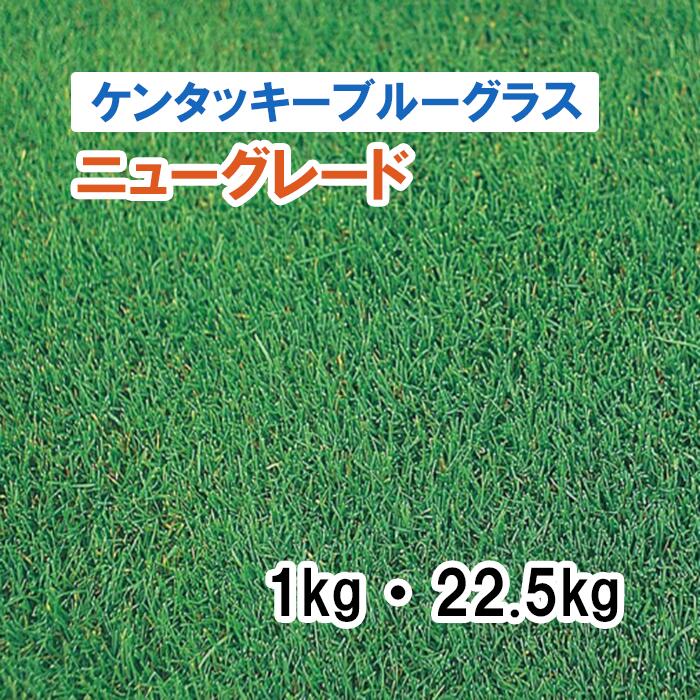 【 緑肥用 ブルーグラスの州ブルーグラス 】 ニュー評点 1kg 22.5kg 草藁 放牧 採草 作りだす用 干し草用 ゴルフ場 引きくらべる場  緑化 内果皮 タキイ種苗