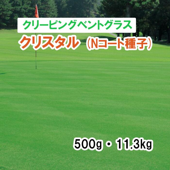 ※N厚地の外套内果皮※【 芝地用 クリーピングベントグラス 】 結晶 500g 11.3kg 草藁 放牧 採草 作りだす用 干し草用 ゴルフ場 引きくらべる場 緑化 内果皮 タキイ種苗