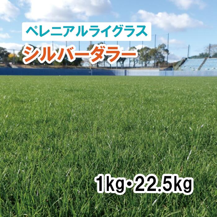 【 芝地用 ペレニアルライグラス 】 しろがね色弗 1kg 22.5kg 馬糧 放牧 採草 作りだす用 干し草用 ゴルフ場 引きくらべる場 緑化 内果皮 タキイ種苗