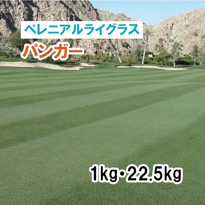 【 芝地用 ペレニアルライグラス 】 パンガー 1kg 22.5kg 草藁 放牧 採草 作りだす用 干し草用 ゴルフ場 引きくらべる場 緑化 内果皮 タキイ種苗
