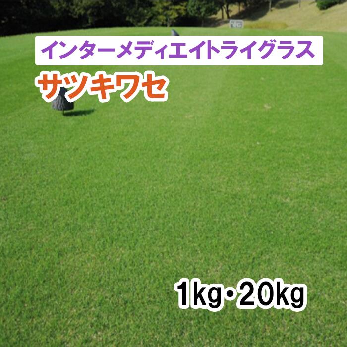 秋血縁グループ専用【 芝地用 インターメディエイトライグラス 】 サツキワセ 400g 1kg 20kg PVP 馬糧 放牧 採草 作りだす用 干し草用 ゴルフ場 引きくらべる場 緑化 内果皮 タキイ種苗