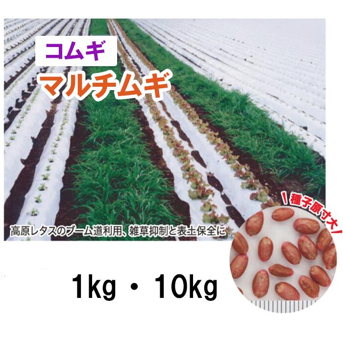 ヒエ グリーンミレット 中生 | カネコ種苗株式会社 | 未来を