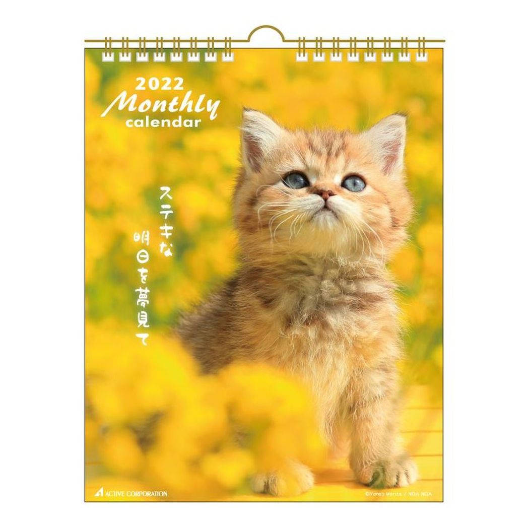 楽天市場 壁掛け 2022年 カレンダー Cat マンスリー スケジュール ねこ アクティブコーポレーション 動物写真 書き込み インテリア 令和4年暦 雑貨 アートの通販店ベルコモン