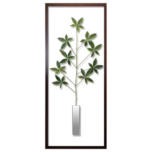 送料無料 Pachira Glabra 造花 Glabra リーフアートフレーム F Style Frame Pachira パキラ グラブラ 美工社 42 5 101 5 3cm 42 Pachira Glabra リーフアートフレーム F Style Frame パキラ グラブラ 美工社 42 5x101 5x3cm 造花 額付きインテリア 取寄品 雑貨 アート