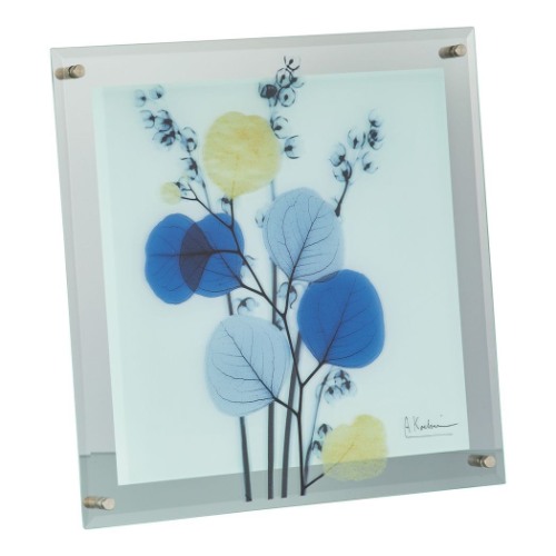 楽天市場】【ポイント10倍 & クーポン！】アルバートクーツィール