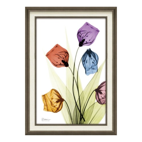 楽天市場】【ポイント10倍 & クーポン！】アルバート クーツィール