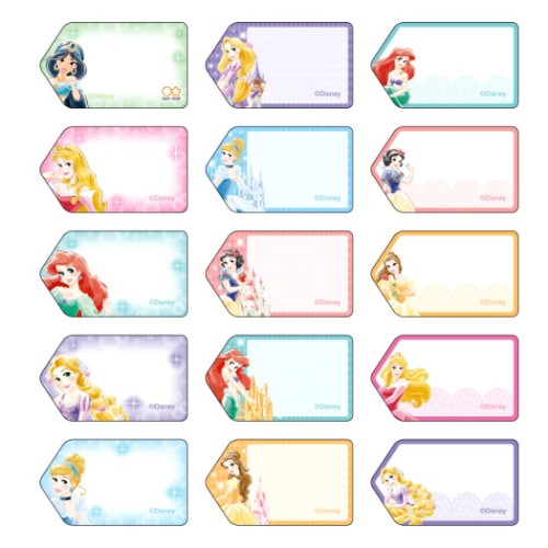 ネームラベルシール タグに貼れる ディズニープリンセス なまえシール