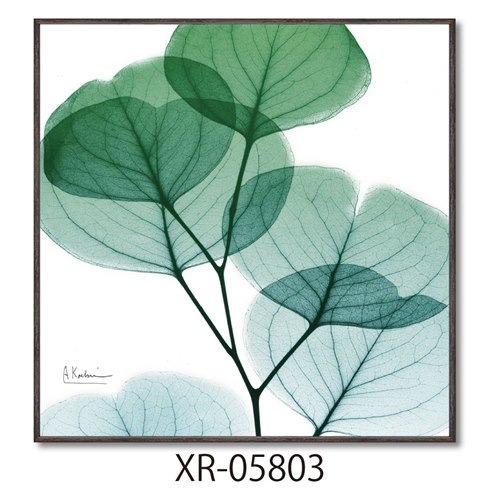 楽天市場】【ポイント10倍 & クーポン！】アルバートクーツィール