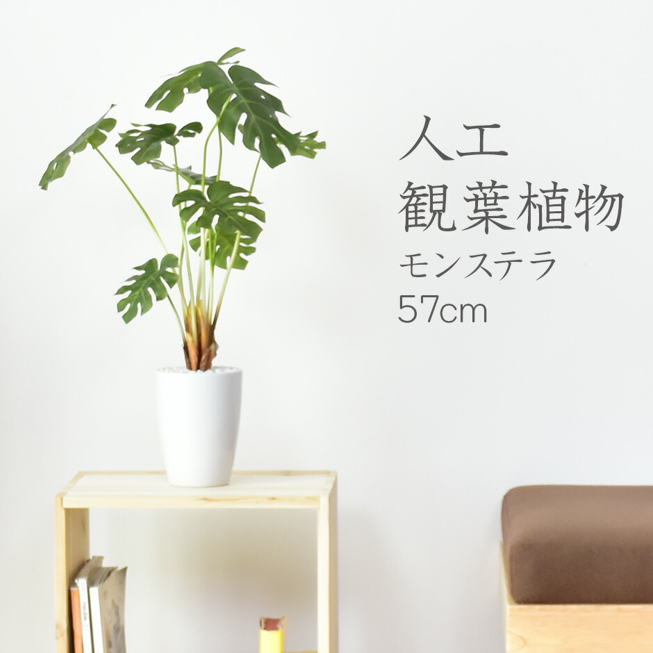 人気ショップが最安値挑戦 人工観葉植物 光触媒 モンステラ57cm 水やり不要 高さ57 造花モンステラ57cm 送料無料 インテリアグリーン 観葉植物