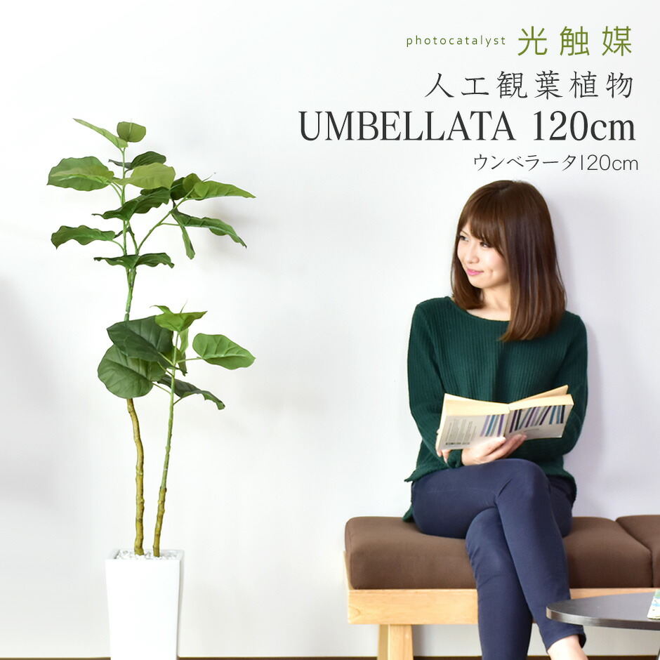 楽天市場】人工観葉植物 大型 高さ150 お手入れ不要 完成品 かんたん