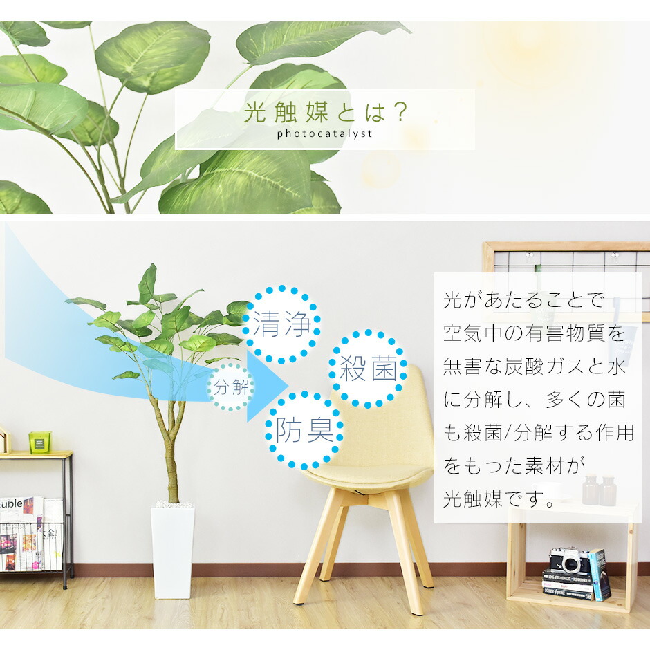 Ginger掲載商品 人工観葉植物 光触媒 ウンベラータ 水やり不要 インテリアグリーン 観葉植物 造花ウンベラータ 送料無料 Officedev Polarisoffice Com