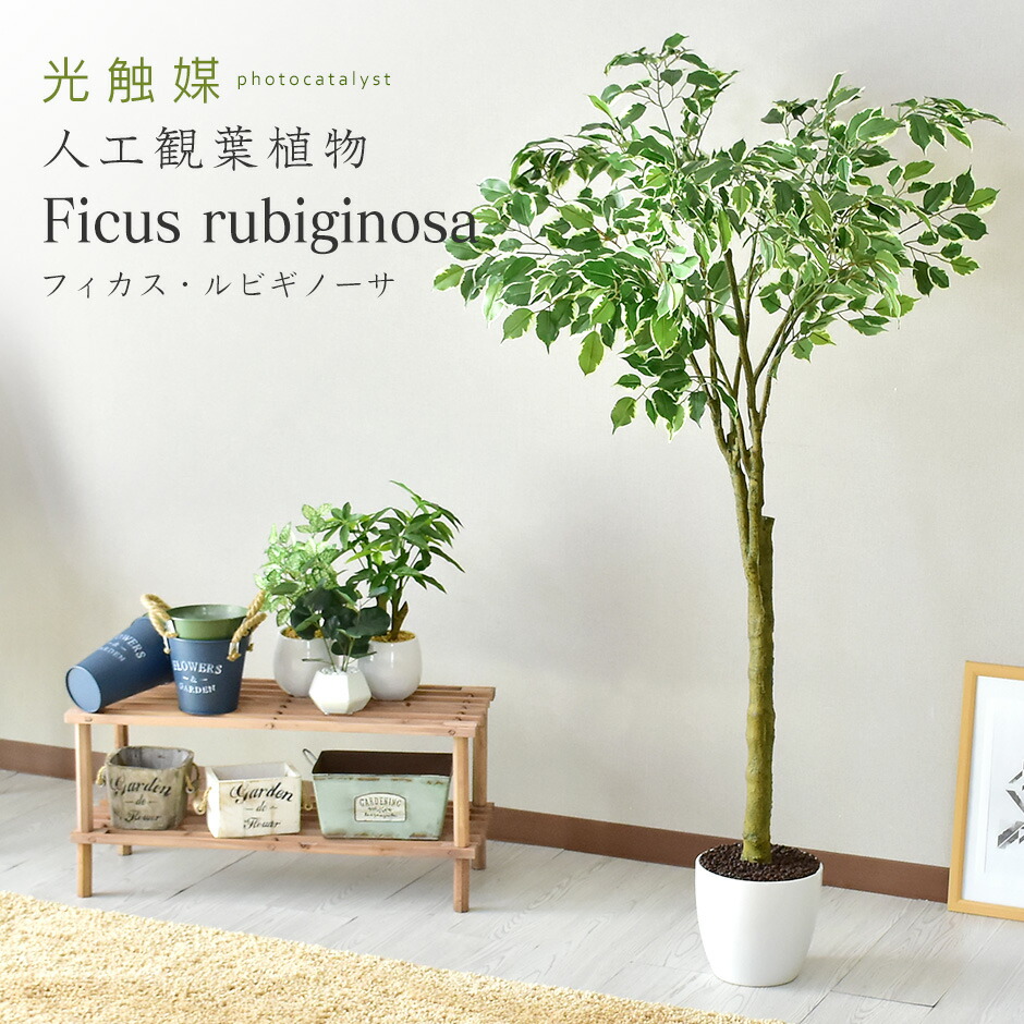 楽天市場】人工観葉植物 大型 高さ150 お手入れ不要 完成品 かんたん