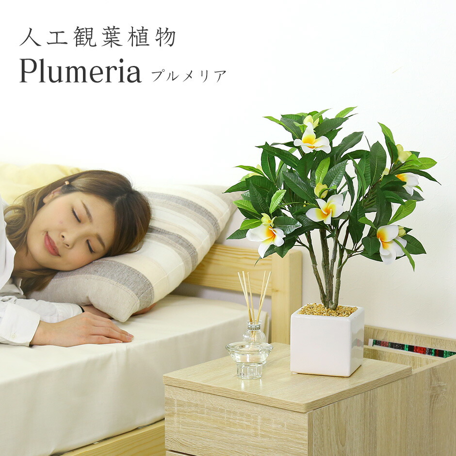 56 Off 観葉植物 人工観葉植物 水やり不要 インテリアグリーン フェイクグリーン プルメリア