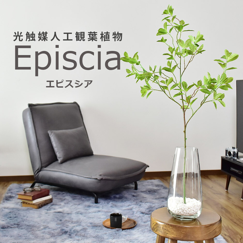定番から日本未入荷 人工観葉植物 光触媒 エピスシア ガラス鉢 水やり不要 インテリアグリーン 観葉植物 造花エピスシア 送料無料 Batesmartin Com 定番から日本未入荷 人工観葉植物 光触媒 エピスシア ガラス鉢 水やり不要 インテリアグリーン 観葉植物 造花エピスシア 送料無料 Batesmartin Com