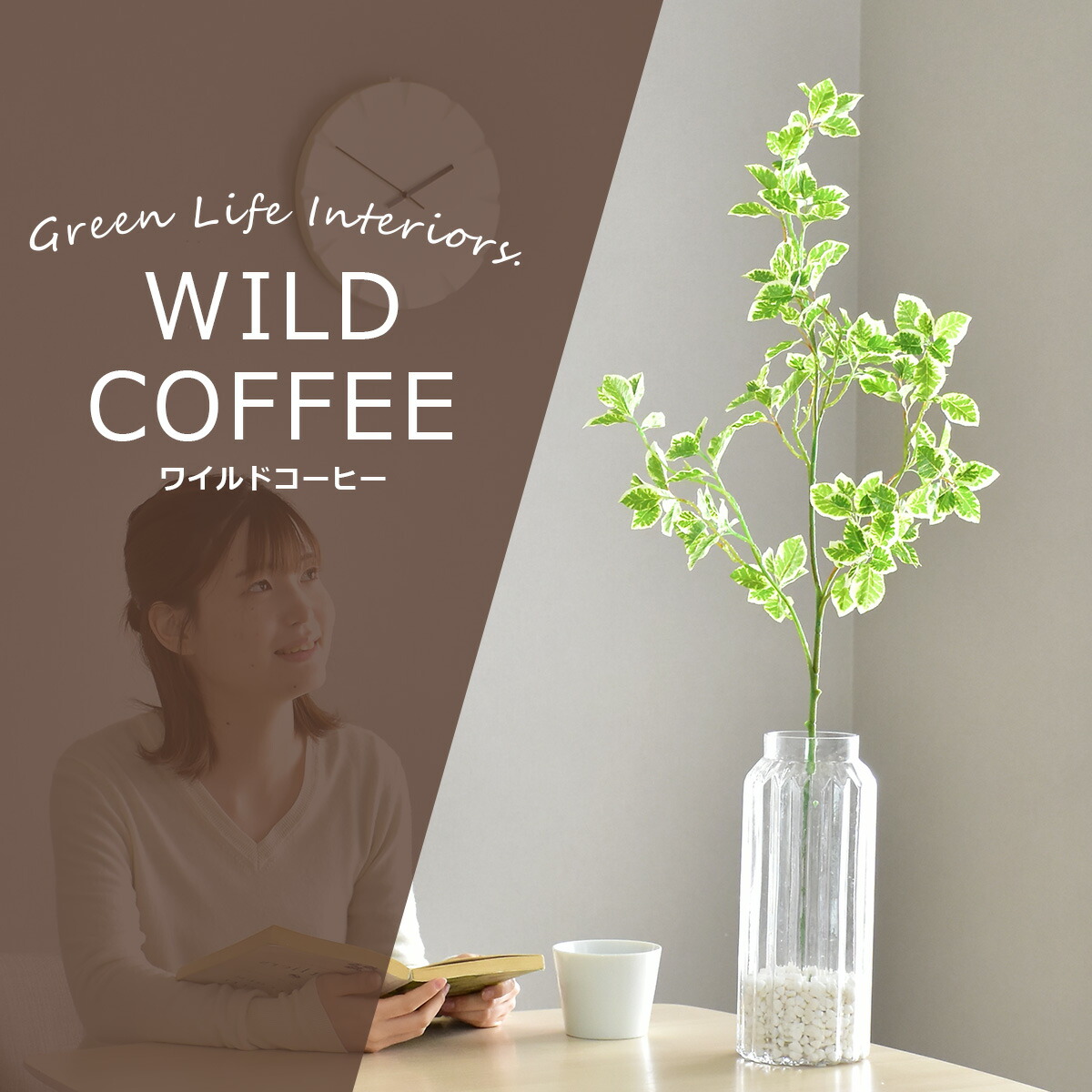 まとめ買い 人工観葉植物 光触媒 ワイルドコーヒー ガラス鉢 水やり不要 インテリアグリーン 観葉植物 造花ワイルドコーヒー 送料無料 Www Yourrequestentertainment Com まとめ買い 人工観葉植物 光触媒 ワイルドコーヒー ガラス鉢 水やり不要 インテリアグリーン 観葉植物 造花ワイルドコーヒー 送料無料 Www Yourrequestentertainment Com