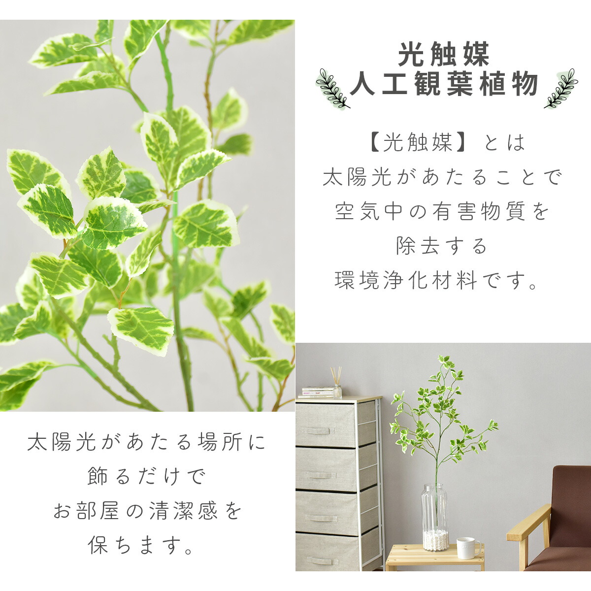 まとめ買い 人工観葉植物 光触媒 ワイルドコーヒー ガラス鉢 水やり不要 インテリアグリーン 観葉植物 造花ワイルドコーヒー 送料無料 Www Yourrequestentertainment Com まとめ買い 人工観葉植物 光触媒 ワイルドコーヒー ガラス鉢 水やり不要 インテリアグリーン 観葉植物 造花ワイルドコーヒー 送料無料 Www Yourrequestentertainment Com