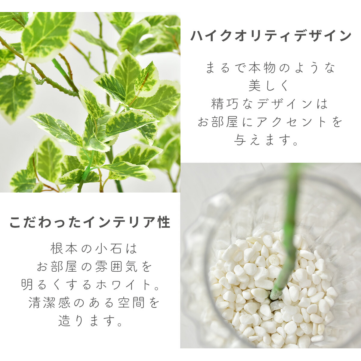 まとめ買い 人工観葉植物 光触媒 ワイルドコーヒー ガラス鉢 水やり不要 インテリアグリーン 観葉植物 造花ワイルドコーヒー 送料無料 Www Yourrequestentertainment Com まとめ買い 人工観葉植物 光触媒 ワイルドコーヒー ガラス鉢 水やり不要 インテリアグリーン 観葉植物 造花ワイルドコーヒー 送料無料 Www Yourrequestentertainment Com