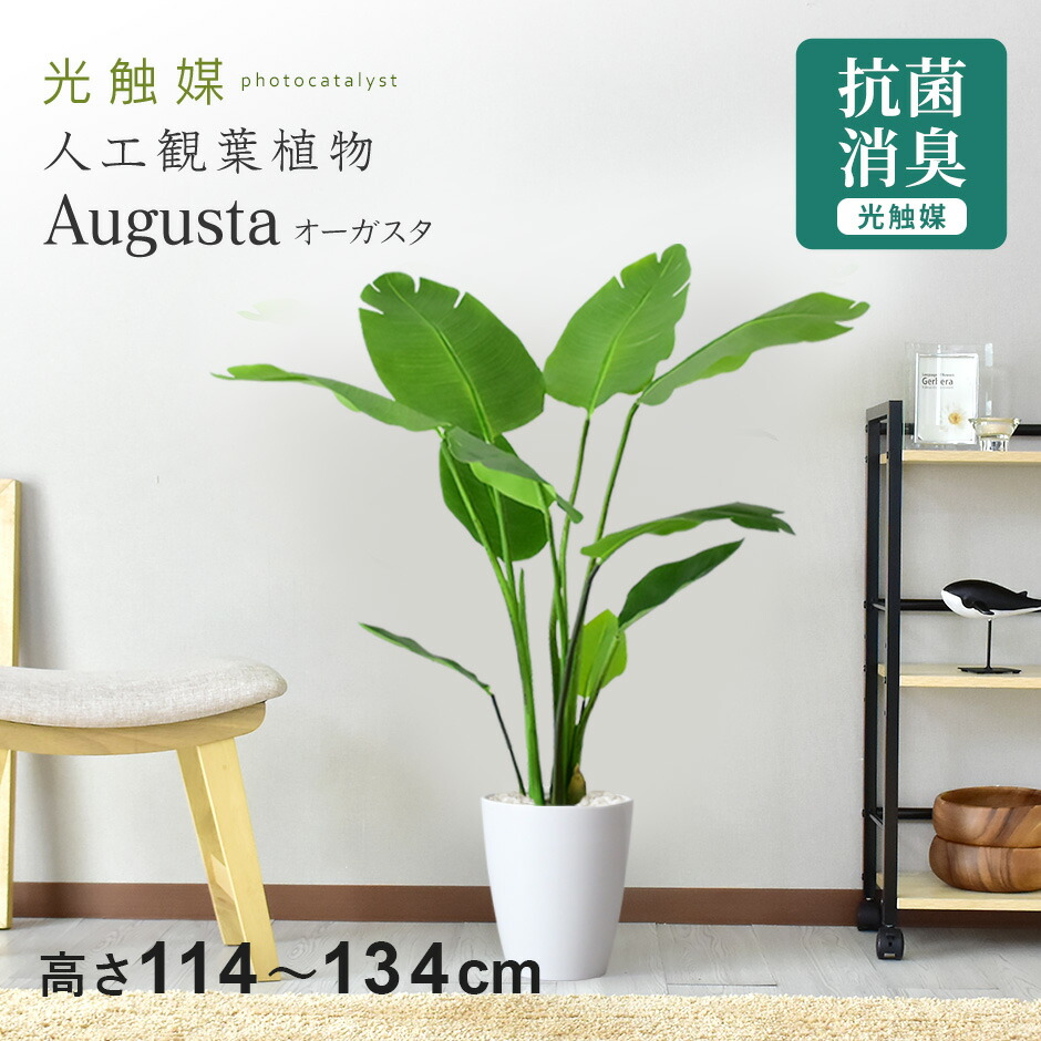 春夏寝具特集