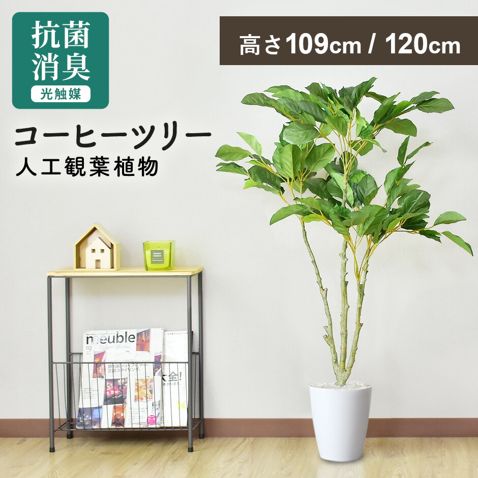 春夏寝具特集