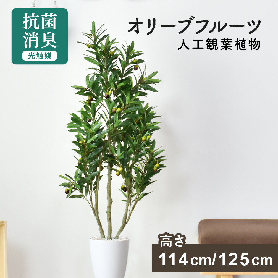 春夏寝具特集
