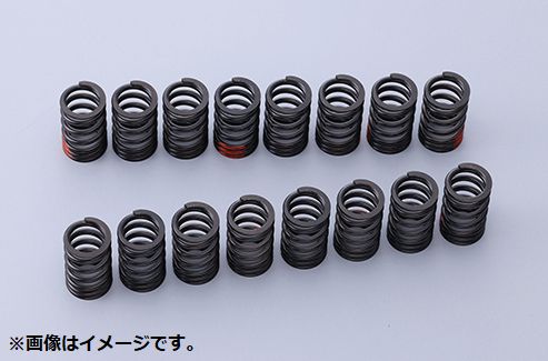 【個人宅発送可能】 TOMEI 東名パワード VALVE バルブスプリング NISSAN 日産 SR20DE(T) A-TYPE (163073)