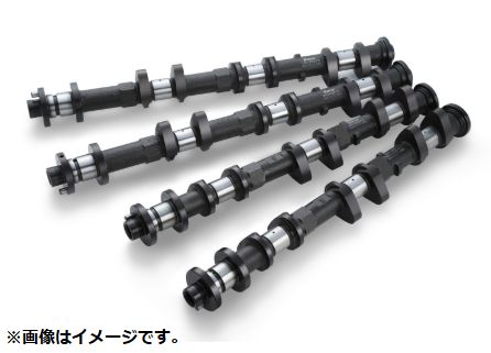 個人宅発送可能 リアルスピードエンジニアリング カムシャフト IN EX セット SPEC-R 282-11.30 NISSAN 日産 GT-R VR38DETT (RA301A-NS01C) 52,272円