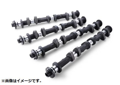 個人宅発送可能 リアルスピードエンジニアリング カムシャフト IN EX セット SPEC-R 282-11.30/11.00 NISSAN 日産 フェアレディZ VQ35DE 後期 (RA301A-NS04F)