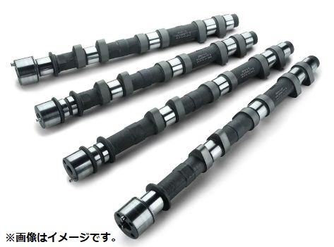 個人宅発送可能 リアルスピードエンジニアリング カムシャフト IN EX セット SPEC-R 272-10.25 ソリッド NISSAN 日産 フェアレディZ VG30DE(TT) (RA301A-NS10A)