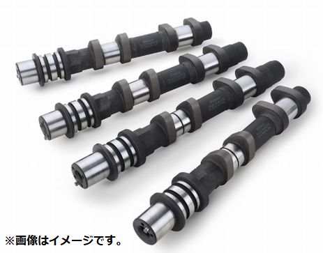 個人宅発送可能 リアルスピードエンジニアリング カムシャフト IN EX セット SPEC-R 254-10.30 SUBARU スバル フォレスター EJ255 257 SINGLE AVCS (RA301A-SB02B)
