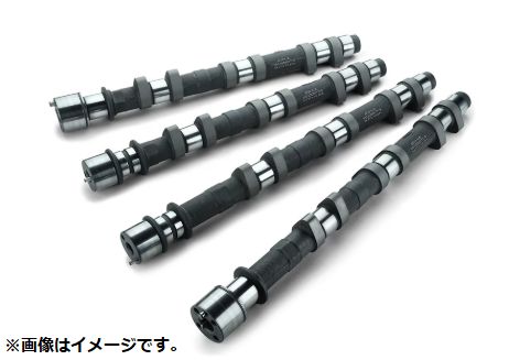 個人宅発送可能 リアルスピードエンジニアリング カムシャフト IN EX セット SPEC-S 258-8.50 NISSAN 日産 フェアレディZ VG30DE(TT) (RA301B-NS10A)