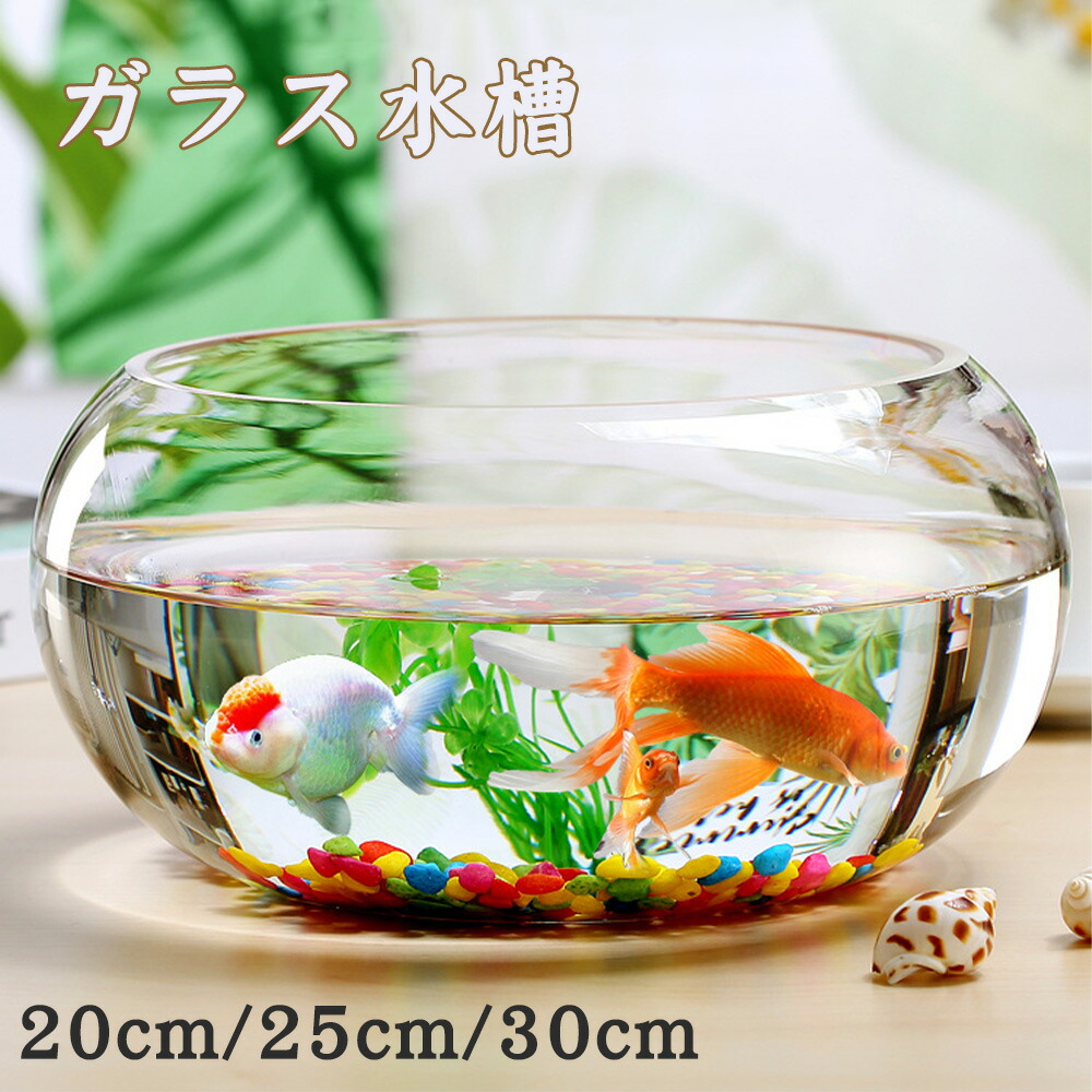 楽天市場】金魚鉢 丸型金魚鉢 水槽 小型水槽 飼育水槽 ガラス