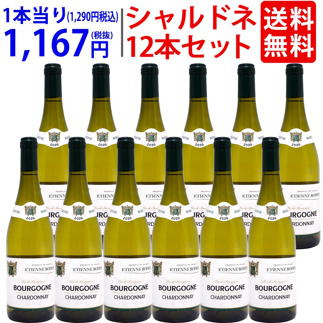 【アウトレット】【12本セット 送料無料】 2020 ブルゴーニュ シャルドネ ブラン 750ml×12本 熟成ピークの為 ロディエ 白ワイン コク辛口 大人気 ^B0TRCHK9^