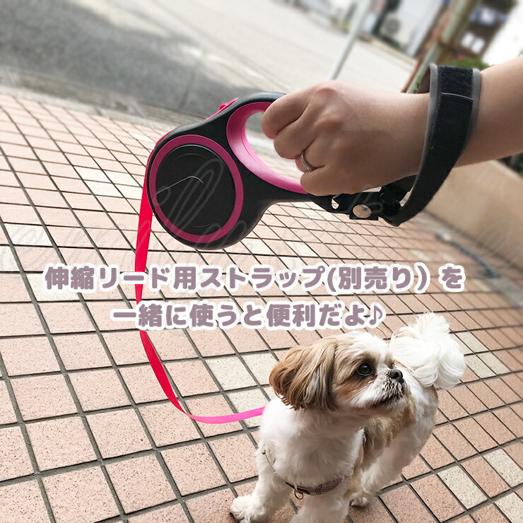楽天市場 カラフル伸縮リード 5m 8m ロングリード リールリード テープタイプ 巻き取り 伸びるリード 頑丈 自動巻き取り 大型犬 中型犬 小型犬 長い 長め お散歩 お出かけ おしゃれ リーダーウォーク 愛犬 ペット 男の子 女の子 エミリーノ Emilino Emilino