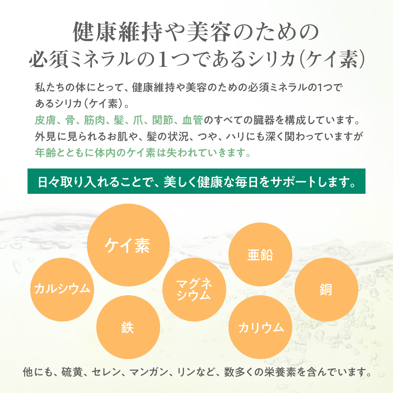 【定期購入 正規価格品 】308 モミガラ シリカ 500ml (シリカ水溶液) 植物性 ケイ素 水溶性濃縮液 珪素水溶液 珪素 アルカリ 水溶性 無臭 味あり 健康維持 滋養 珪素水 髪 肌 骨 血管 松果体 胸腺 熱対応 シリカ水 100%有機素材 送料無料 ヴェルトゥー Vertueux：ヴェルトゥー 公式ショップ