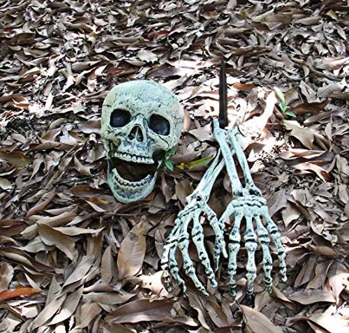 楽天市場】ハロウィン 飾り 骸骨 模型 モデル 人体 骨格 ドクロ