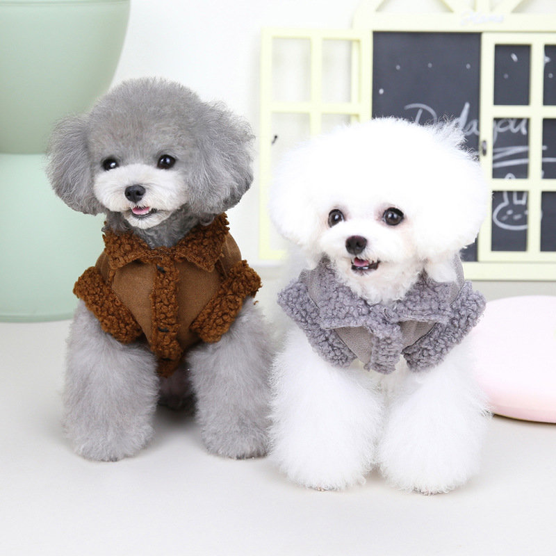 楽天市場】犬服 秋冬 サンゴベルベット 犬の冬服 背中開き Dカン付き