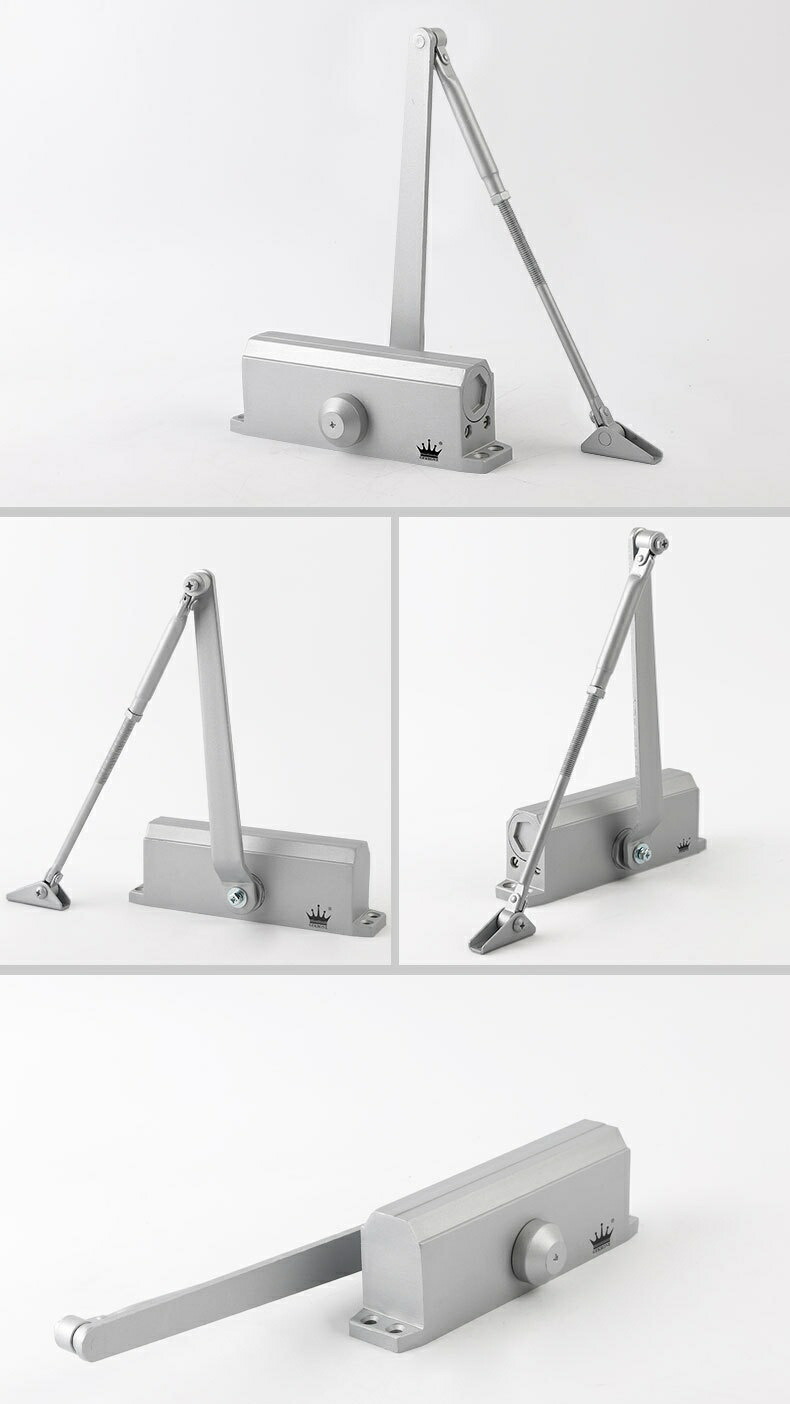 取替え用 ドアクローザー 森閑とした 耐久性 ドアクローザー 取替え用 ドアクローザー 部屋の入り口読み合わせる 引き戸 全能 取替え 標準尺度型 父の日
