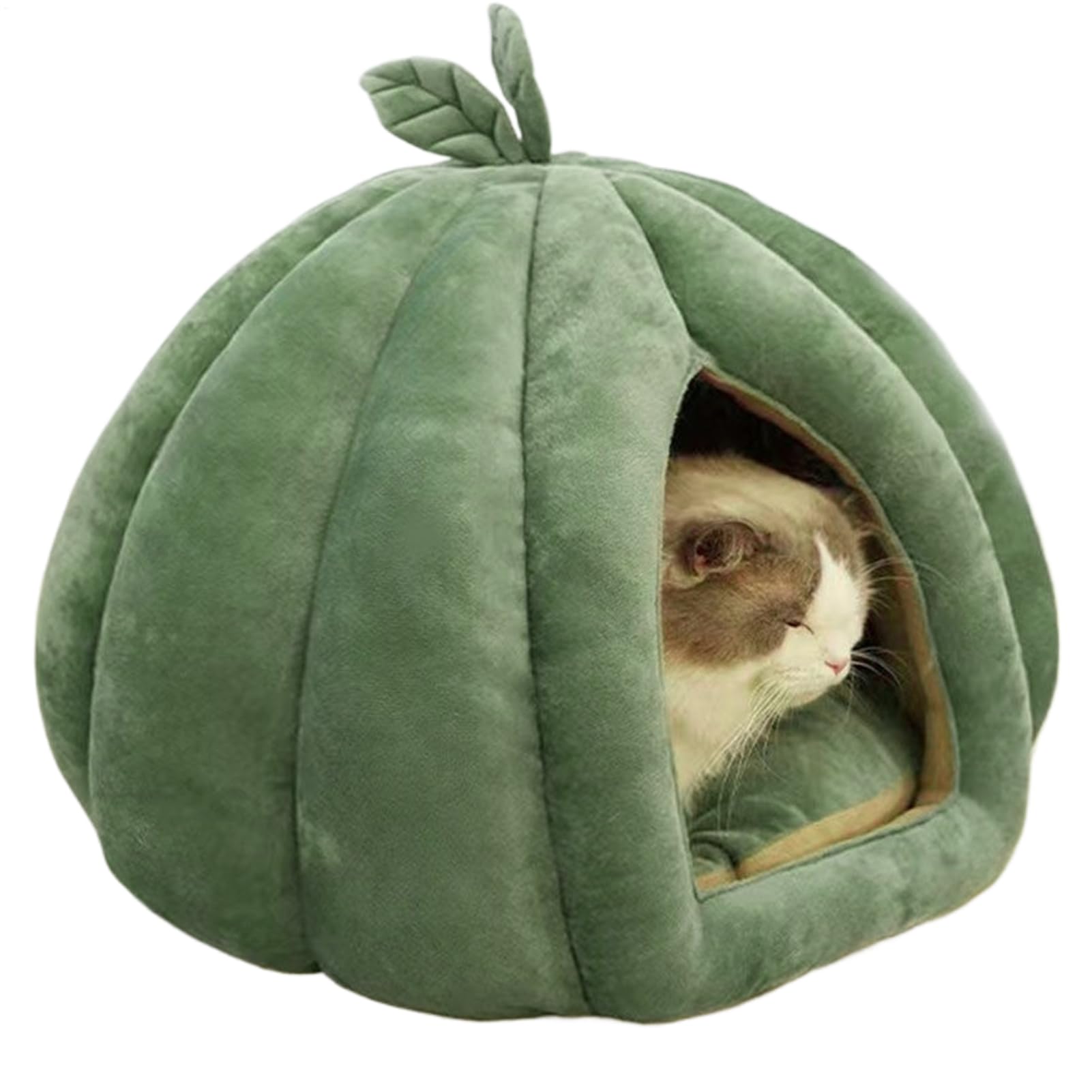 ハロウィン 愛玩動物臥榻 猫 かぼちゃ キャットハウス どら焼き型 座布団付き添い人 2WAY 学生寄宿舎型 トウガラシ 洗える ねこ 棲み家 冬 猫の家 室内用 小型犬 キャットベッド キャットインベッド 愛くるしげ オール時節 緑であること