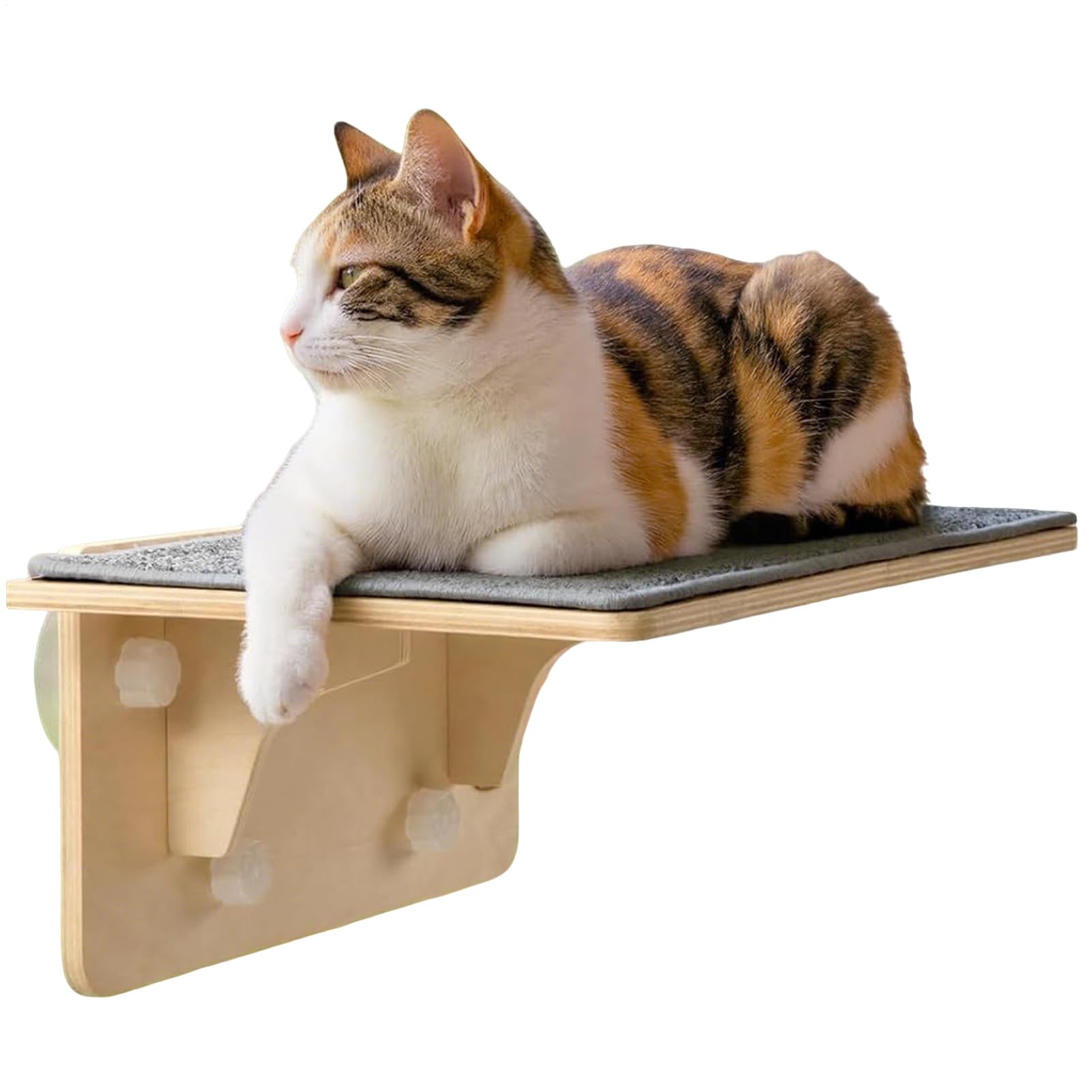 猫用窓辺パーチベッド - ペット用家具 ラウンジャーシート 吸盤式 | 猫用壁登りシェルフパーチ,家庭、アパート、農家、リビングルーム、ベッドルーム、ペントハウス用｜Verve Collection