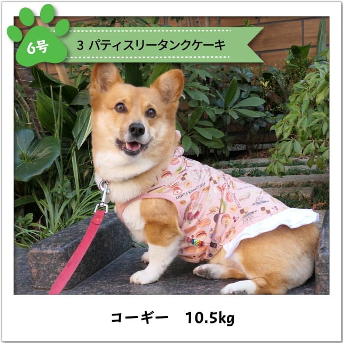 楽天市場 犬 服 ワンピース パティスリータンク ケーキ柄 中型犬 Very Pet