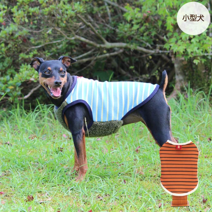 楽天市場】【在庫処分 残りサイズ 2号のみ 】 ボーダー タンクトップ