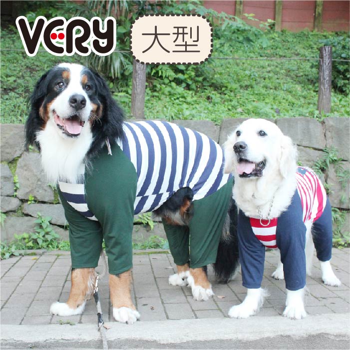 楽天市場】【残りサイズ8号ネイビーのみ】 犬服 春夏 秋冬 オール