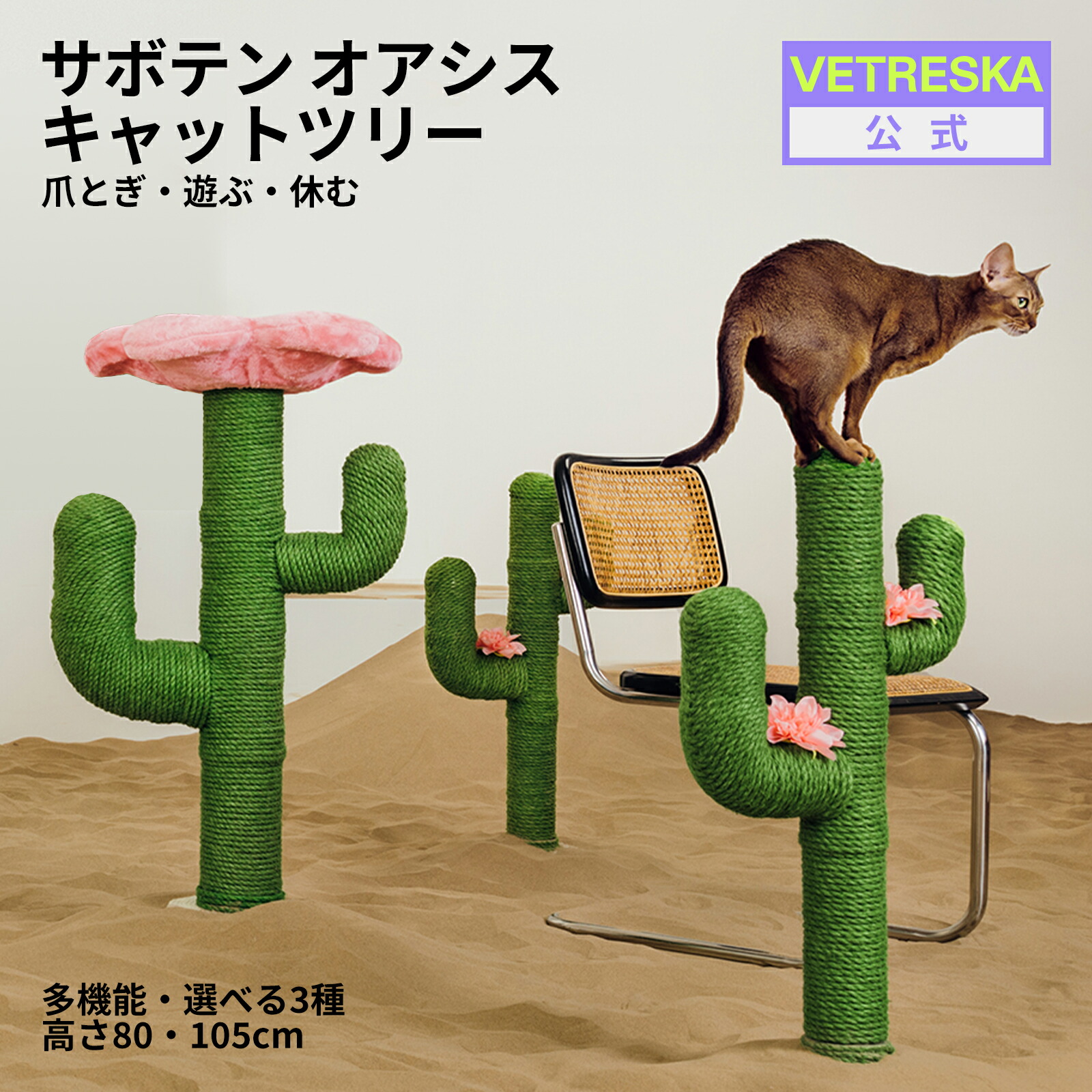 楽天市場】【超ポイントバック祭クーポン】VETRESKA キャット