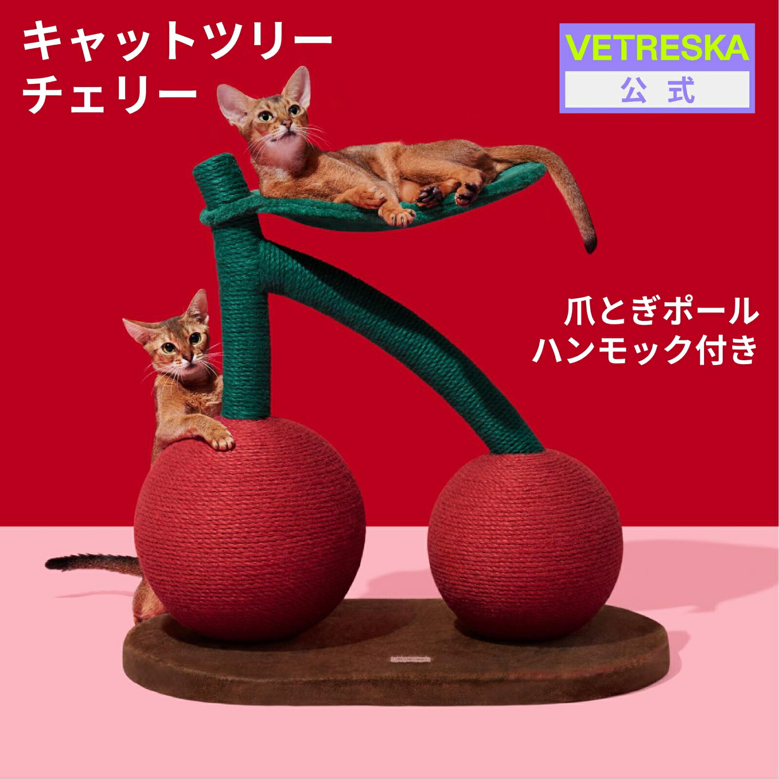 楽天市場】【超ポイントバック祭クーポン】VETRESKA キャット