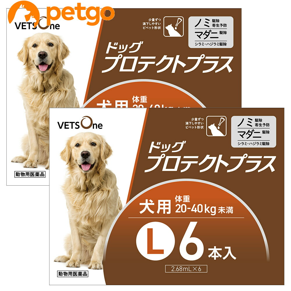 【2箱書き割り】ベッツワン ドッグプロテクトプラス 犬用 L 20kg～40kg未満 6本 (毛の荒物用飲み薬)