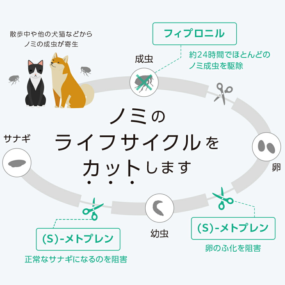 犬用フロントラインプラスドッグm 10kg kg 6本 動物用医薬品